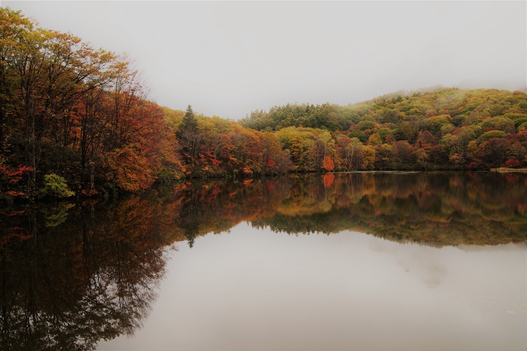 秋を映す鏡～君の心も映す鏡池～