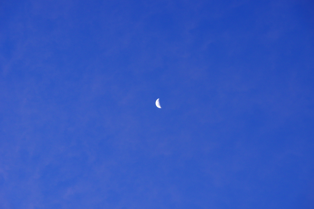 月明かり