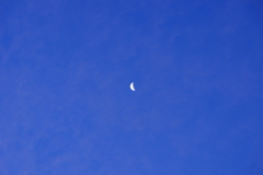 月明かり