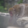 湯加減はどうかなぁ～？