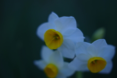 おやすみのとき,゜.:。+゜ おやすみのとき,゜.:。+゜