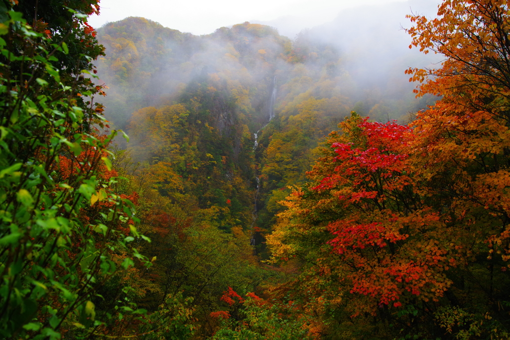 君と眺める雨に濡れる美しい秋～八滝～
