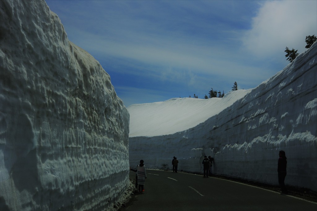 美しき雪回廊～君と見た絶景～，゜．：。＋゜