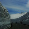 美しき雪回廊～君と見た絶景～，゜．：。＋゜