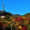 秋色に染まる善光寺