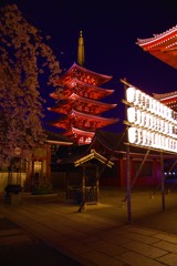 夜空を染める朱と桜♪。.:＊・゜