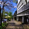 はる。。。爛漫♬
