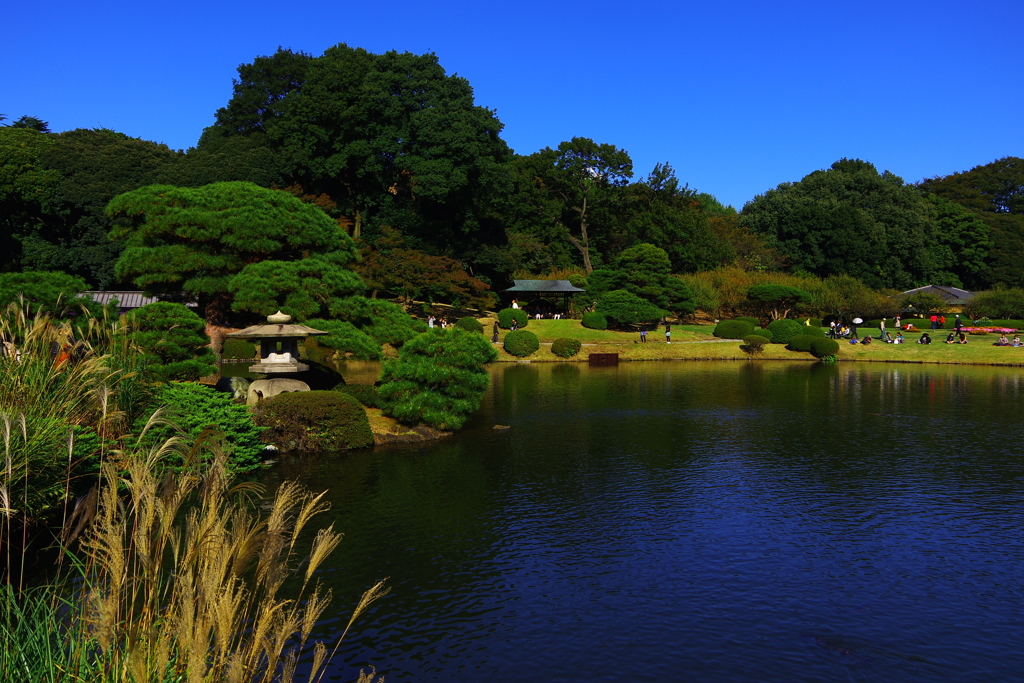 しずくBlue　穏やかな庭園の秋