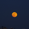 night with a full moon