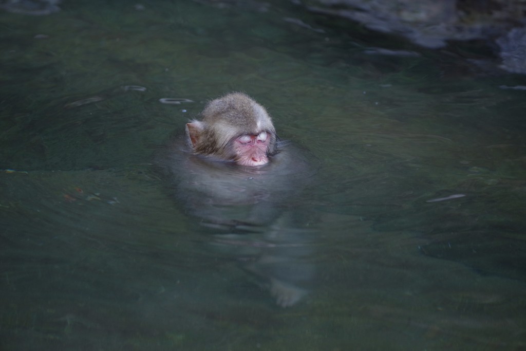 もう朝だよ～σ(^◇^;)