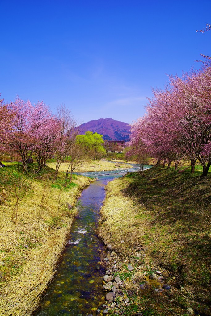 春色の河～姫川～