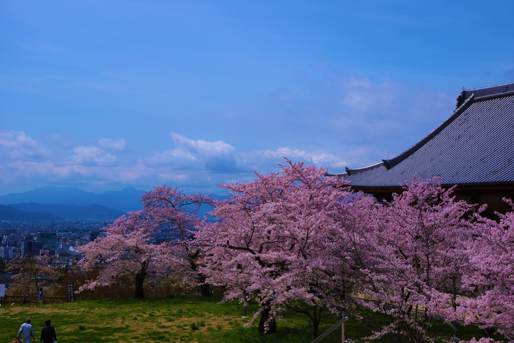 君と歩いた雲上殿・・・