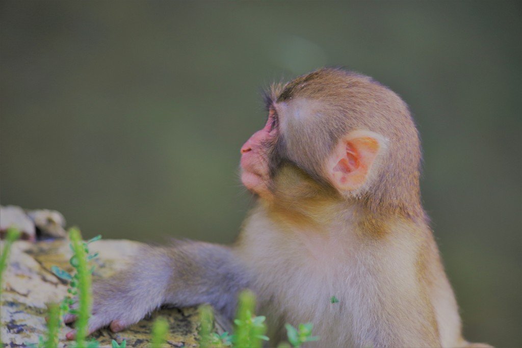 君のまなざし♪。.:＊・゜