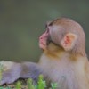 君のまなざし♪。.:＊・゜