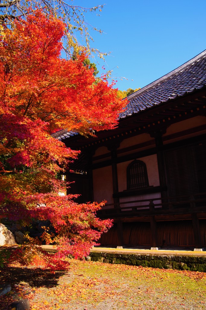 ふたたび・・・奇跡の碧空♪。.:＊・゜