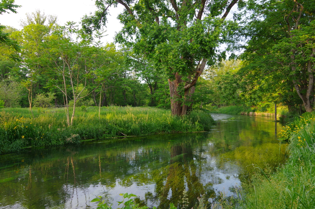 美しき河は流るる・季節は移り変わっても・・・