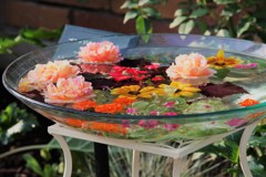 Please have a lovely day•*¨*•.¸¸♬