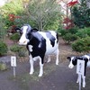 善子と光子ﾓｩ～よろしく(≧∇≦*)