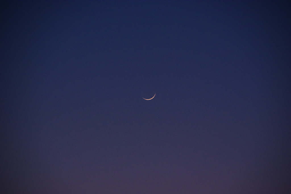 Moonlight Serenade☽