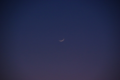 Moonlight Serenade☽
