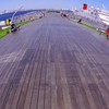 くじらのせなか☆。.:＊・゜