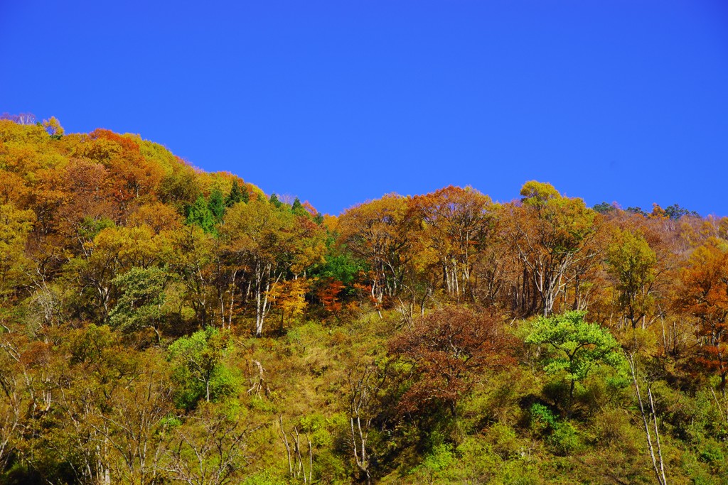 山と暮らす～里山の秋～