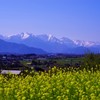 山と暮らす～〝はる〟の里山～