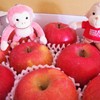 わぁ～い届いたよ！ウッキ～♪。.:＊・゜