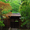 新緑香る靖泉亭