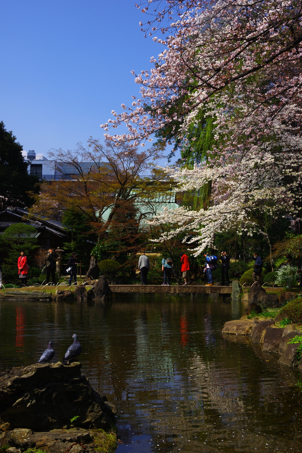 ふたりの春。