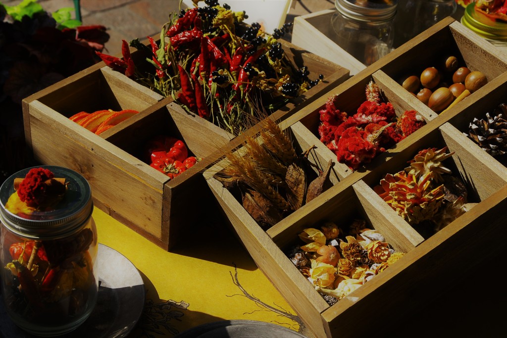 秋を集めて♪。.:＊・゜