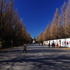 しずくBlue　初冬の靖国