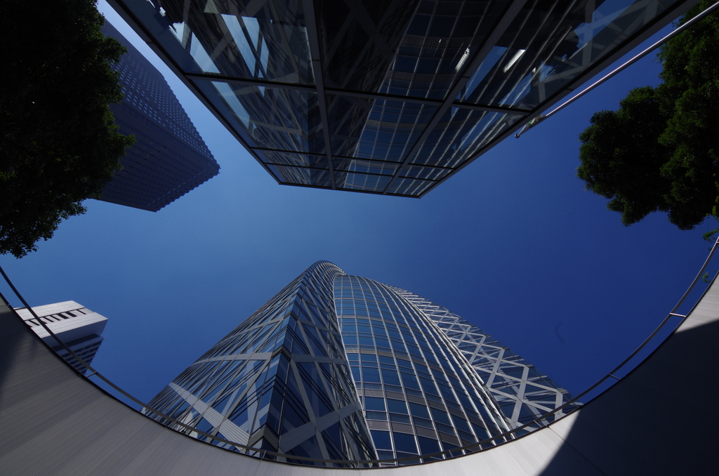 １２－２４広角レンズ試し撮り7