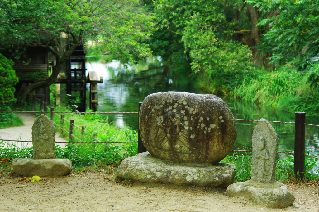 美しき水辺の守神