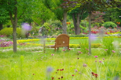 あなたがいて私がいたあの夏の日。