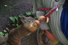 どこから食べても美味～い(^^♪