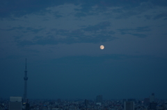 美しい月を眺めながら・・・おやすみなさい♡