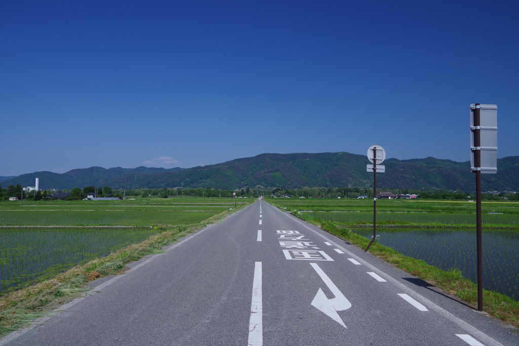 おひさまロードの真ん中で愛を叫ぶ