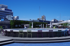 睡蓮の花咲く　water　table