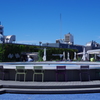 睡蓮の花咲く　water　table