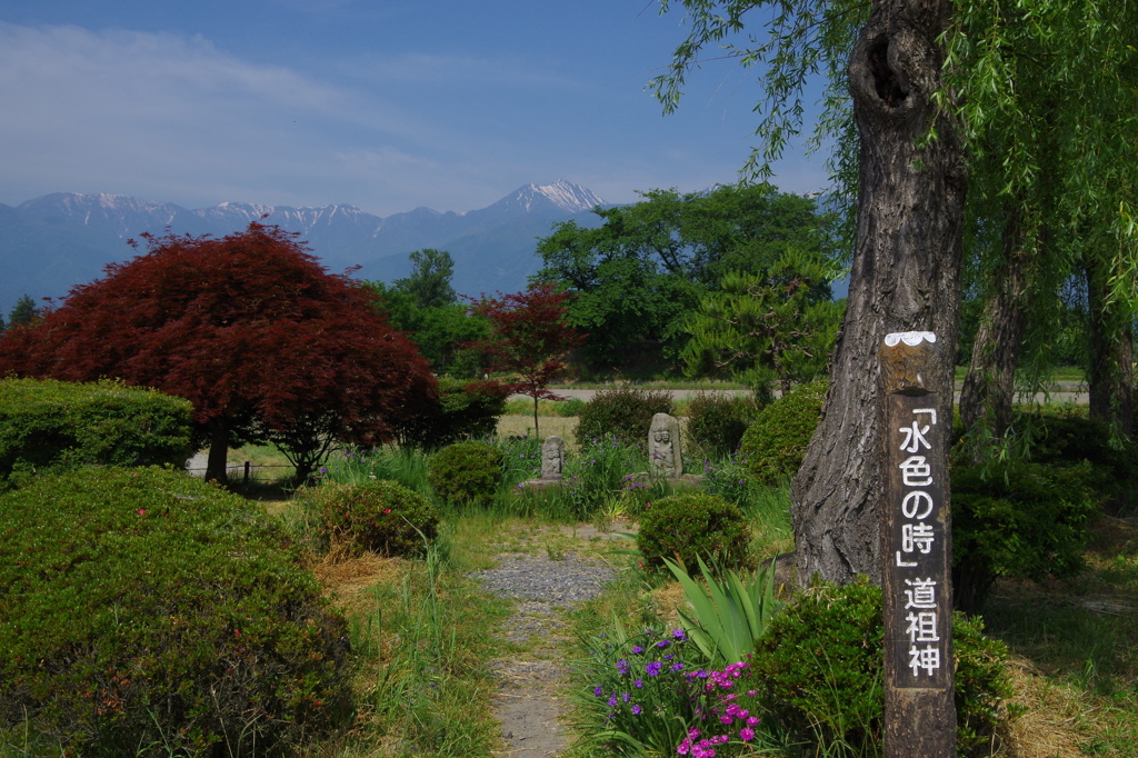 恋は水色
