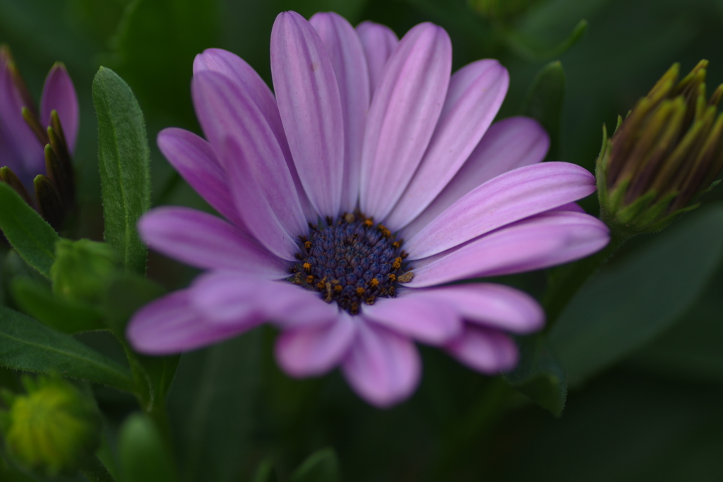 静かなときを・・・あなたと