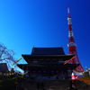 新しい年に向けて