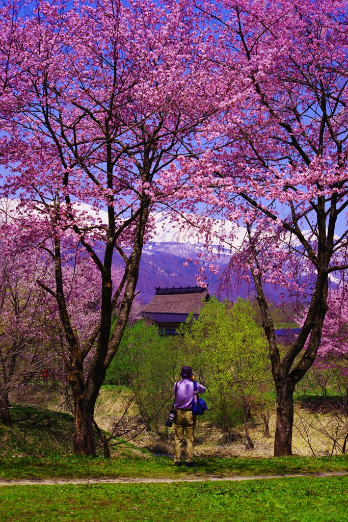 美しい春を映す心 By 空色しずく Id 写真共有サイト Photohito