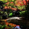 秋を愛でる