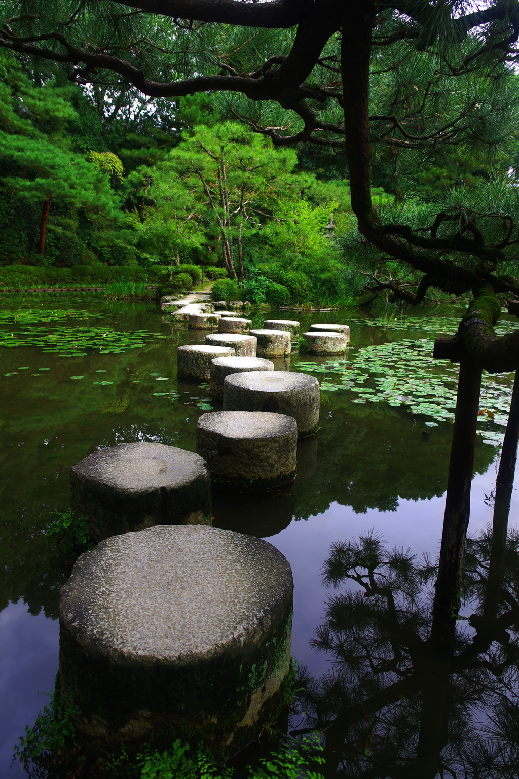 臥龍橋