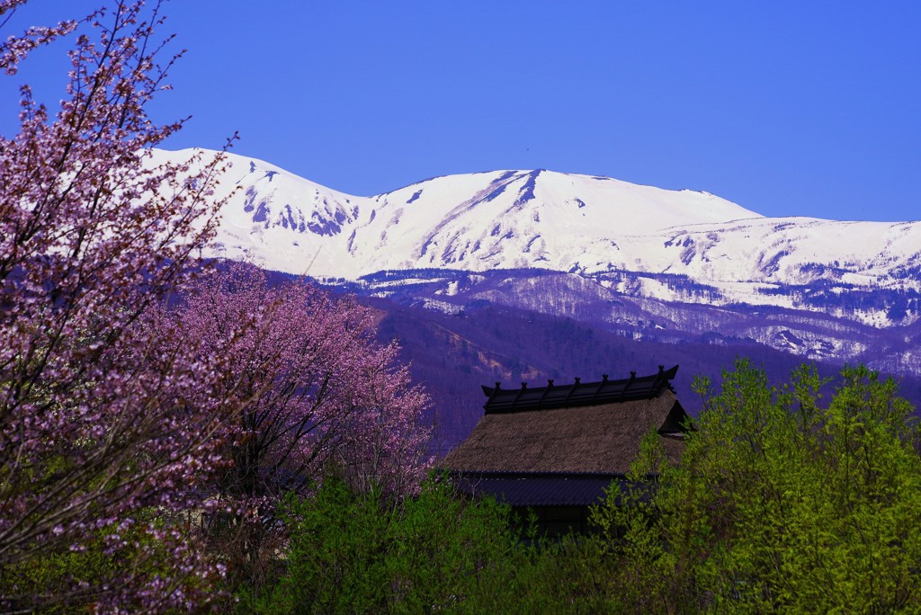 山と暮らす～里の春～