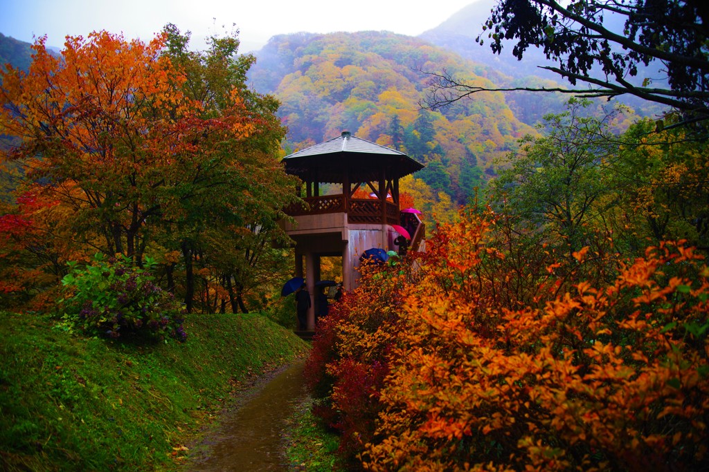 君と眺めた秋雨に濡れる紅葉～八滝展望台～