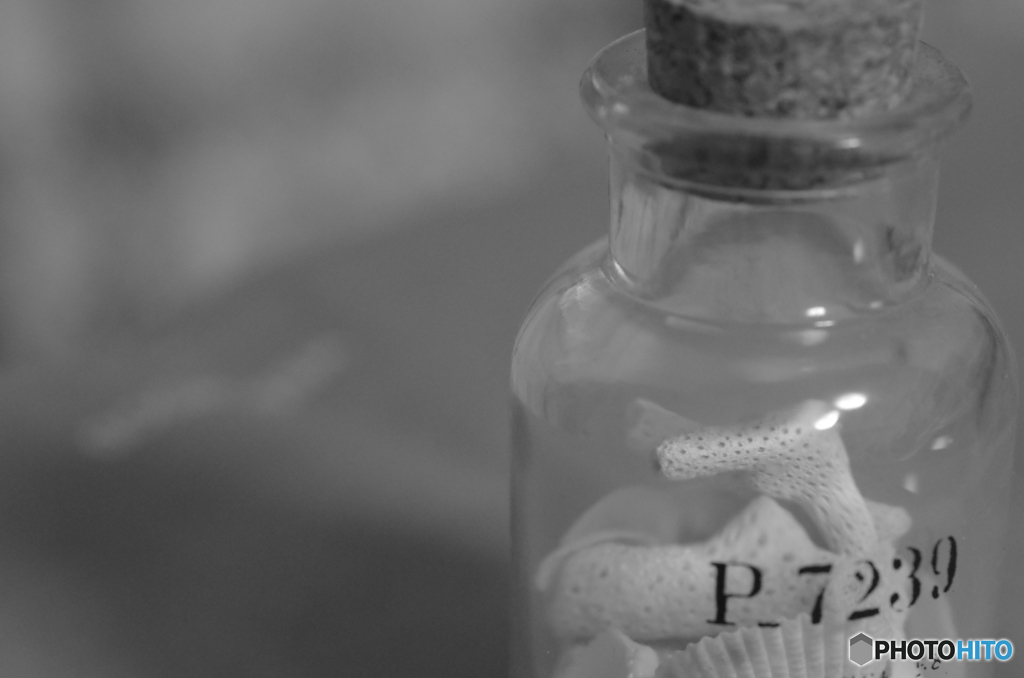 波の音がきこえる