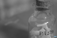 波の音がきこえる